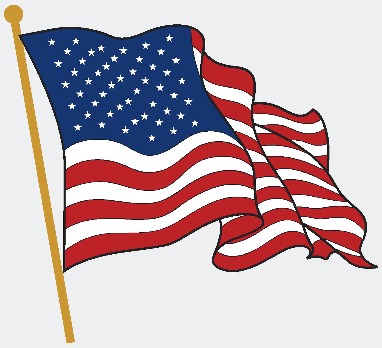 USA Flag
